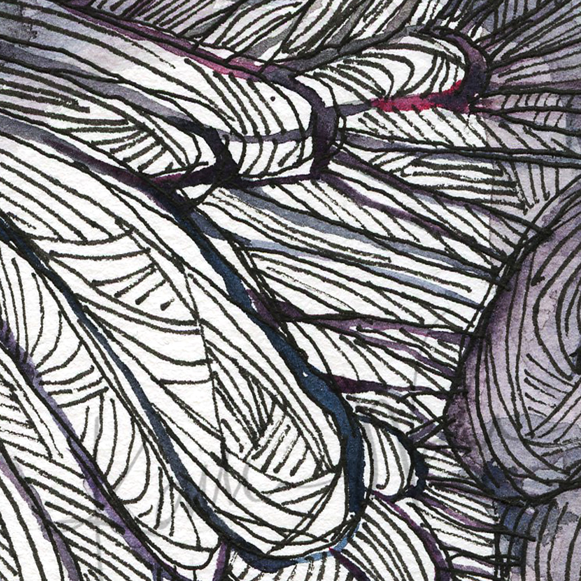 Superior Mesenteric Artery Watercolor Print