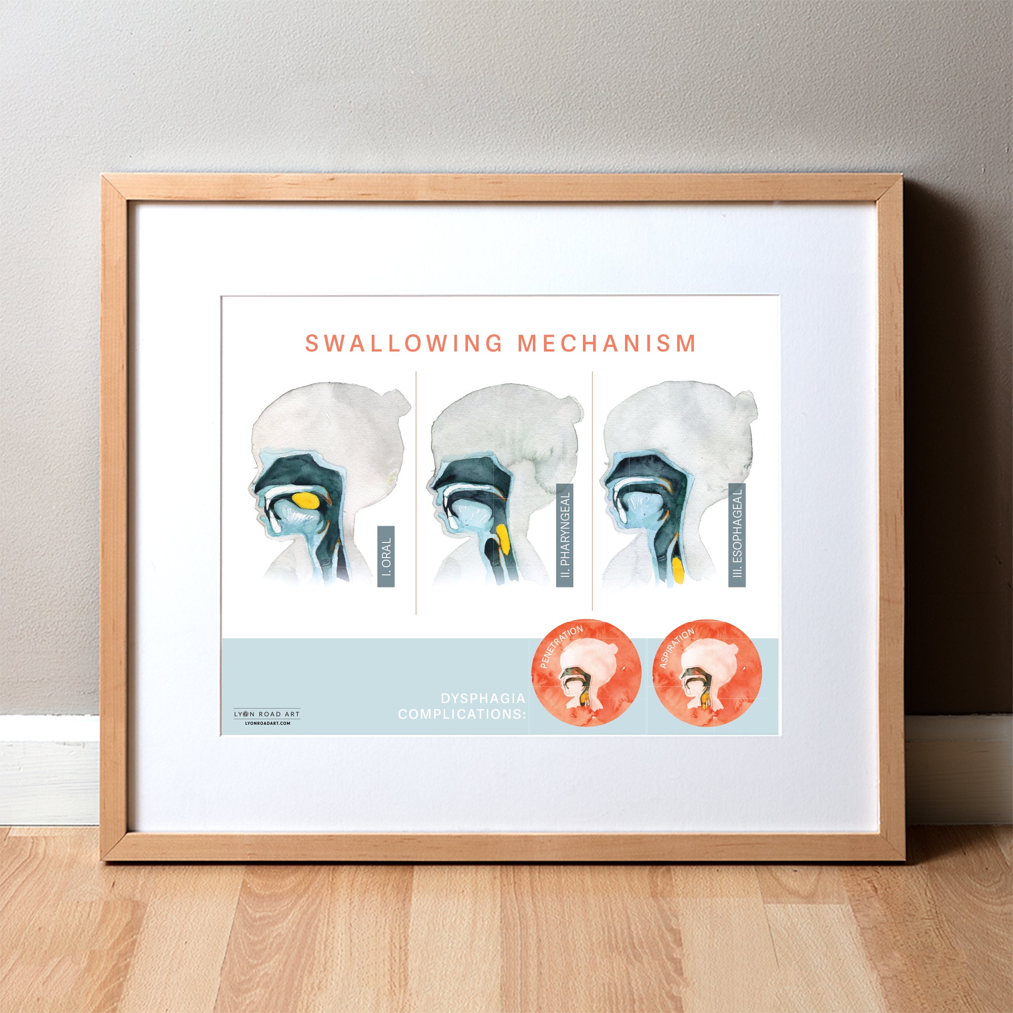 Swallowing Mechanism Poster