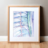 Sympathetic Nerve Chain