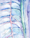 Sympathetic Nerve Chain