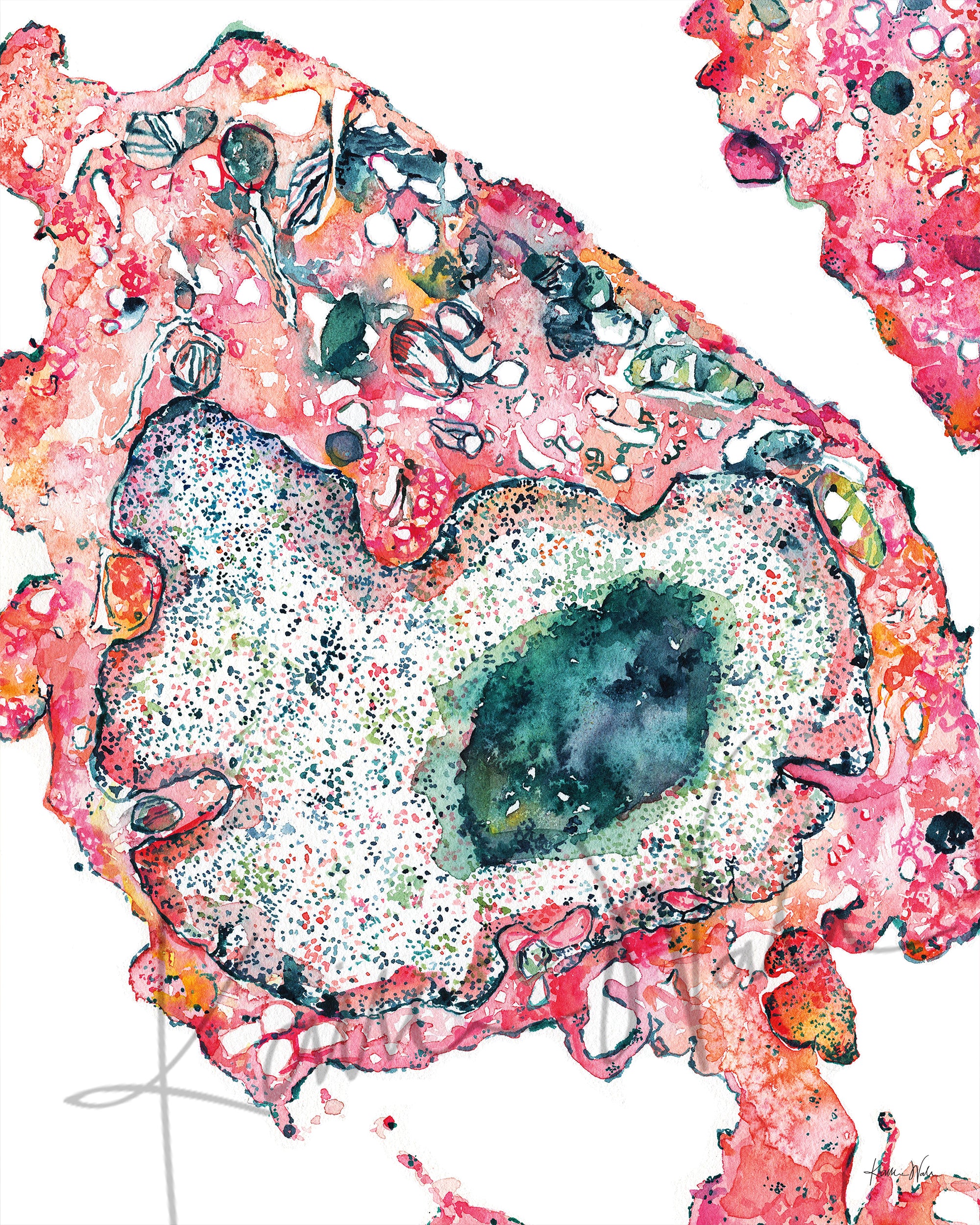 Tissue Cell TEM Watercolor Print