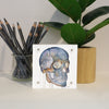 Skull Desktop Anatomy Art - Acrylic Framed Mini Print