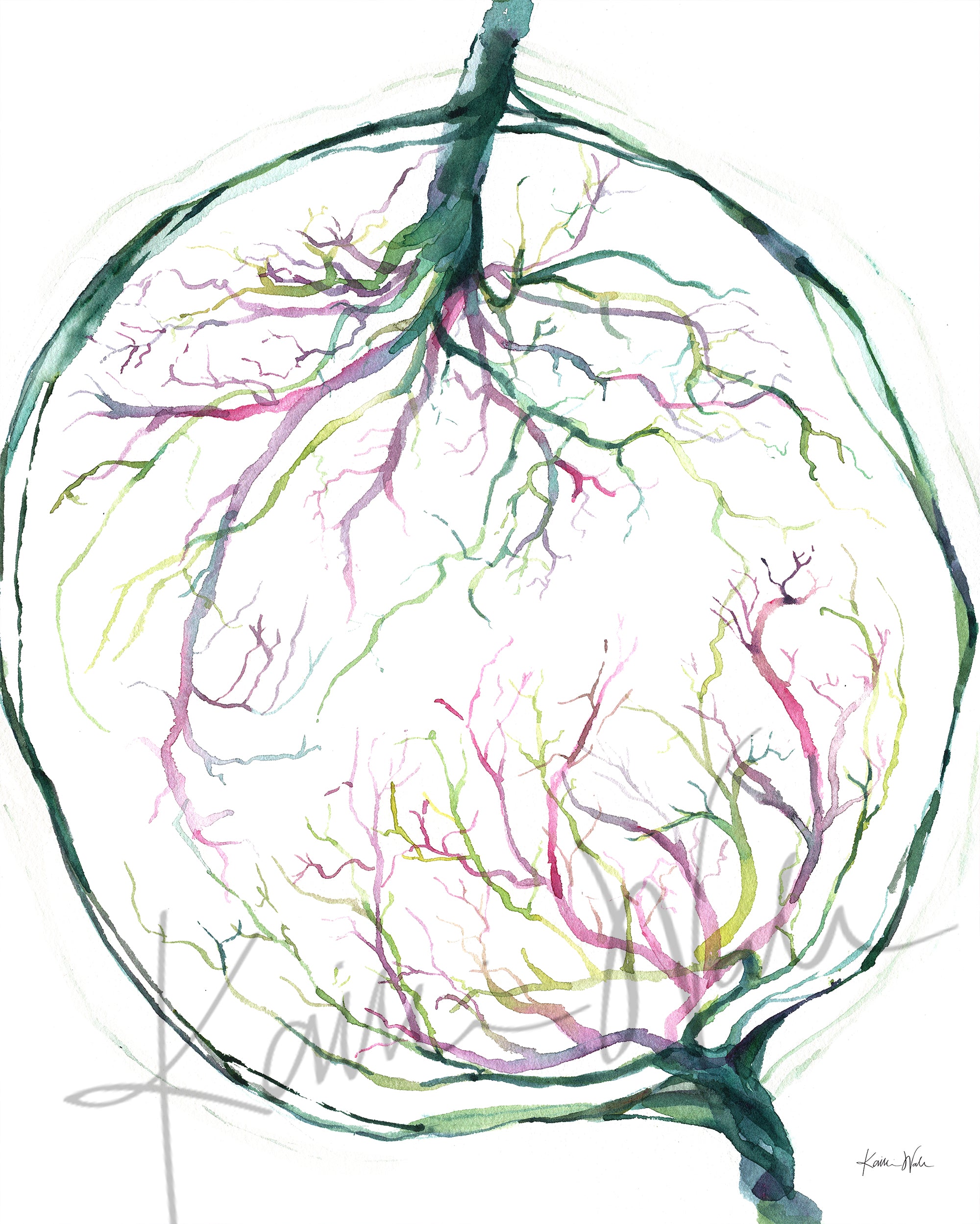 Twin Placenta in Pink and Green Watercolor Print