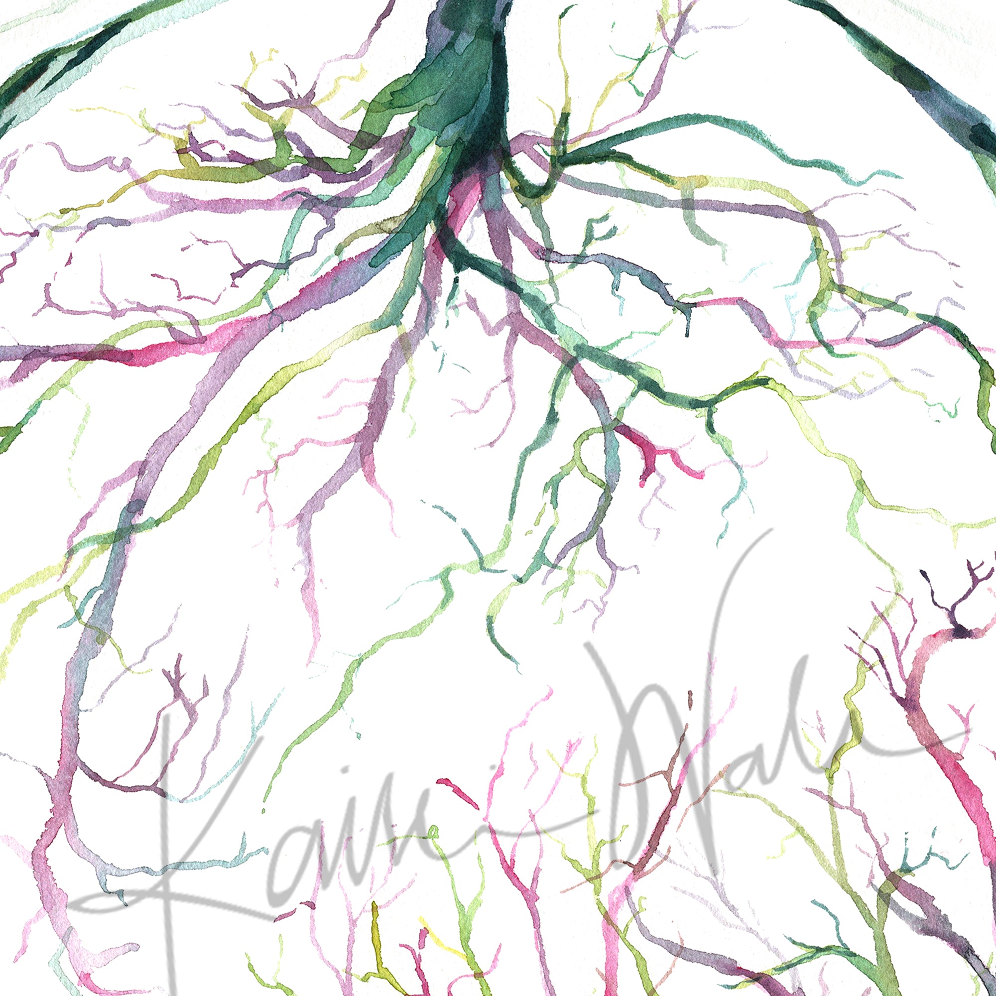 Twin Placenta in Pink and Green Watercolor Print