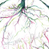 Twin Placenta in Pink and Green Watercolor Print