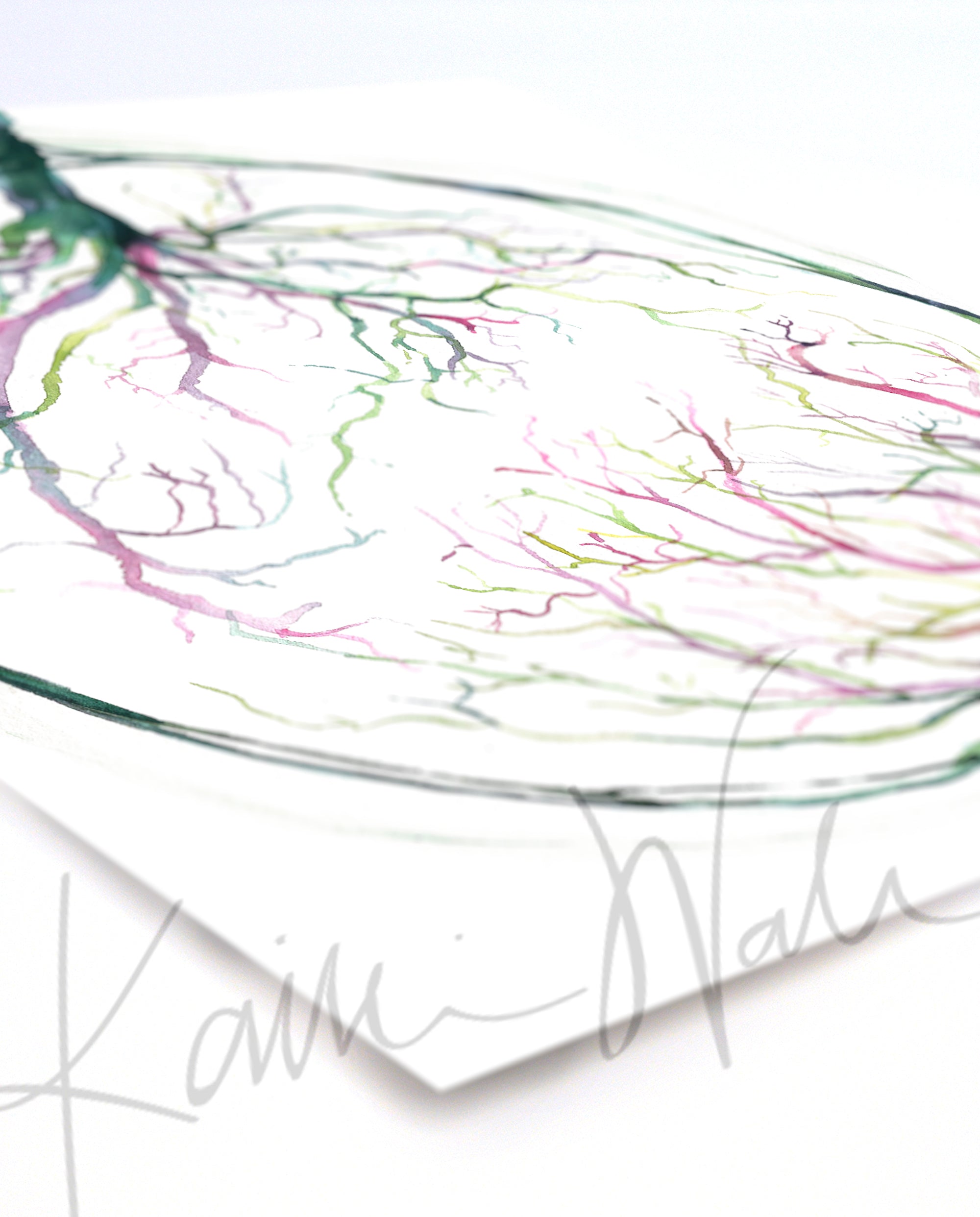 Twin Placenta in Pink and Green Watercolor Print