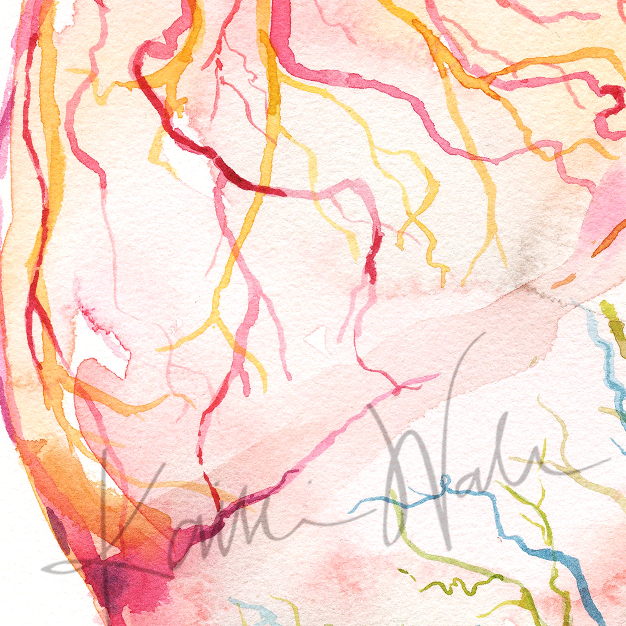 Twin Placenta in Bright Colors Watercolor Print