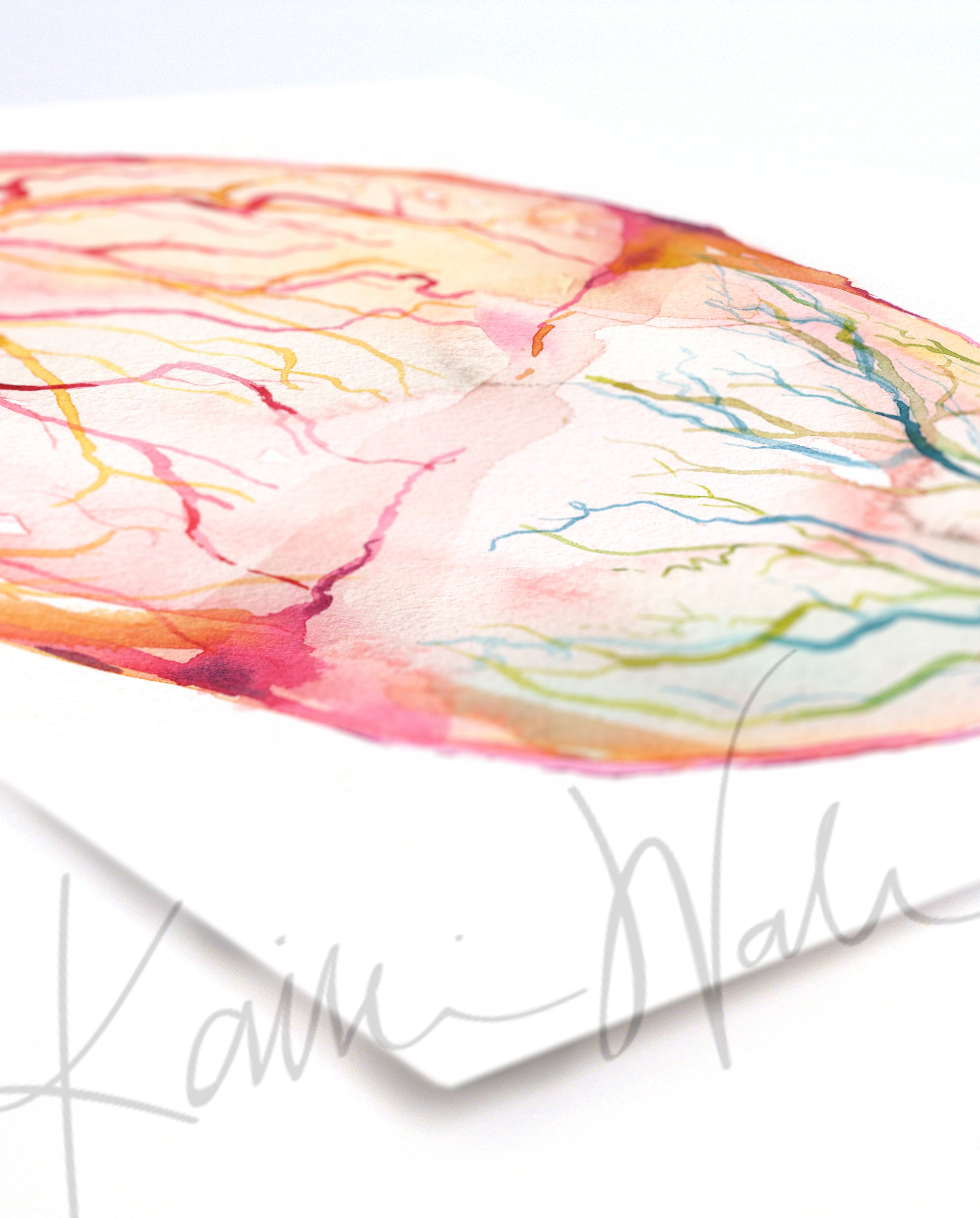 Twin Placenta in Bright Colors Watercolor Print