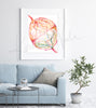 Twin Placenta in Bright Colors Watercolor Print