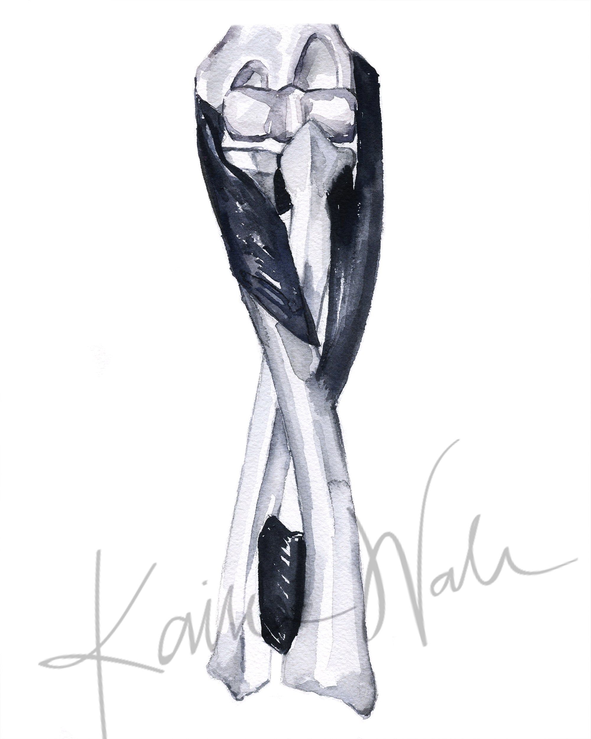 Twisting Muscles of the Forearm Watercolor Print