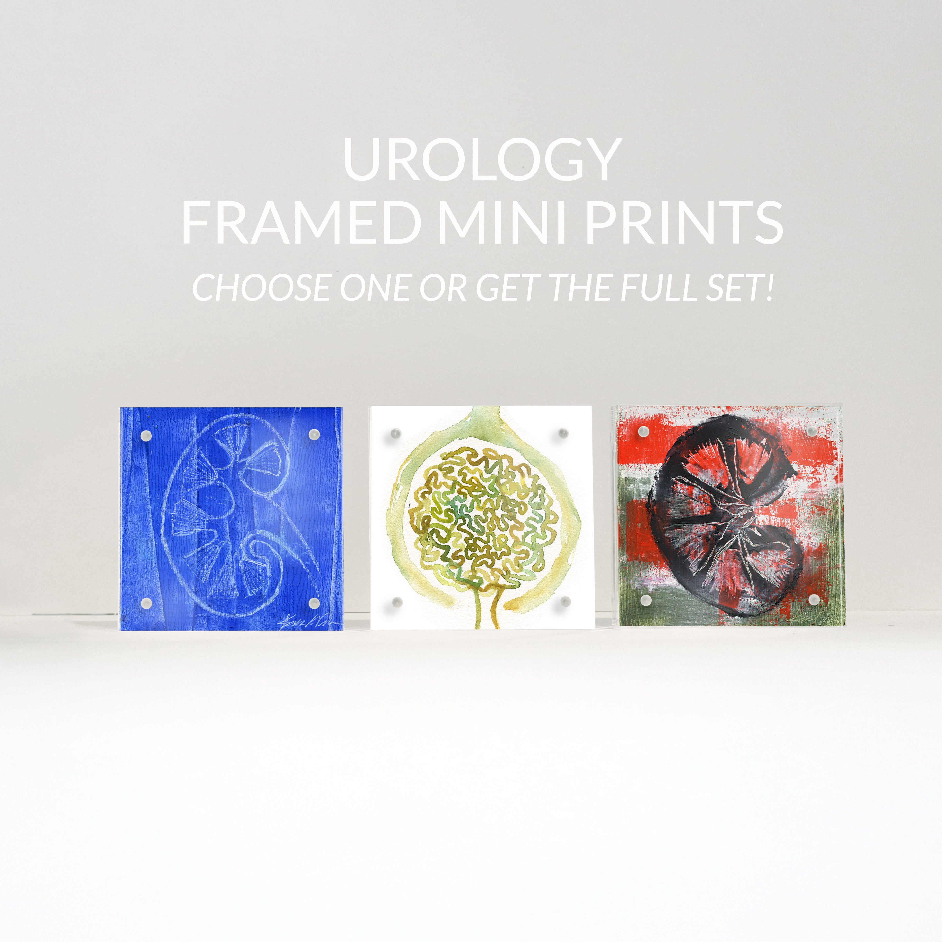 Urology Desktop Anatomy Art - Acrylic Framed Mini Print