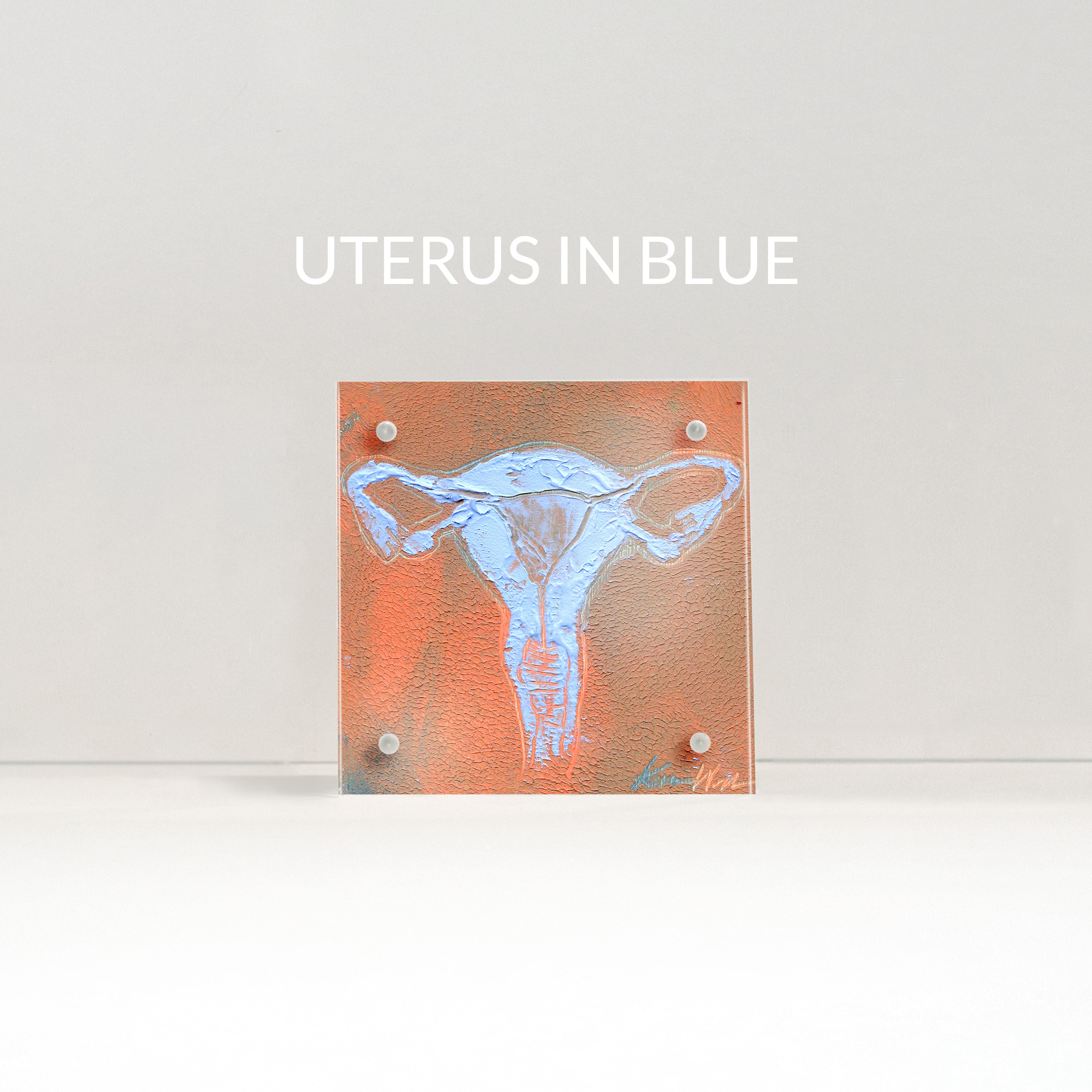 Female Anatomy Desktop Art - Acrylic Framed Mini Print