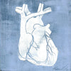Heart Anatomy Desktop Art - Acrylic Framed Mini Print