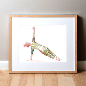 Framed watercolor painting of a woman performing the side plank yoga pose. The image shows her muscular anatomy while doing the pose.