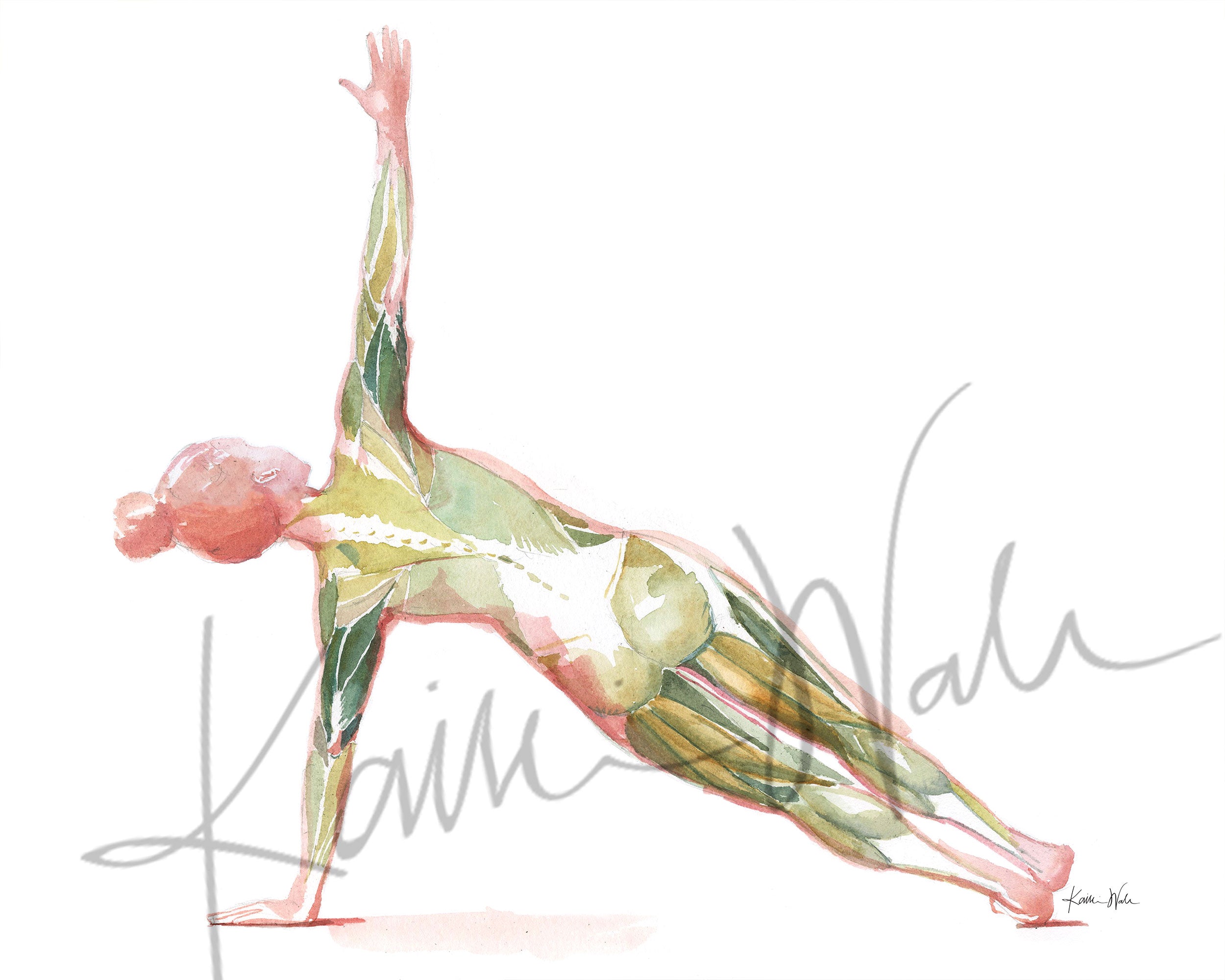 Unframed watercolor painting of a woman performing the side plank yoga pose. The image shows her muscular anatomy while doing the pose.