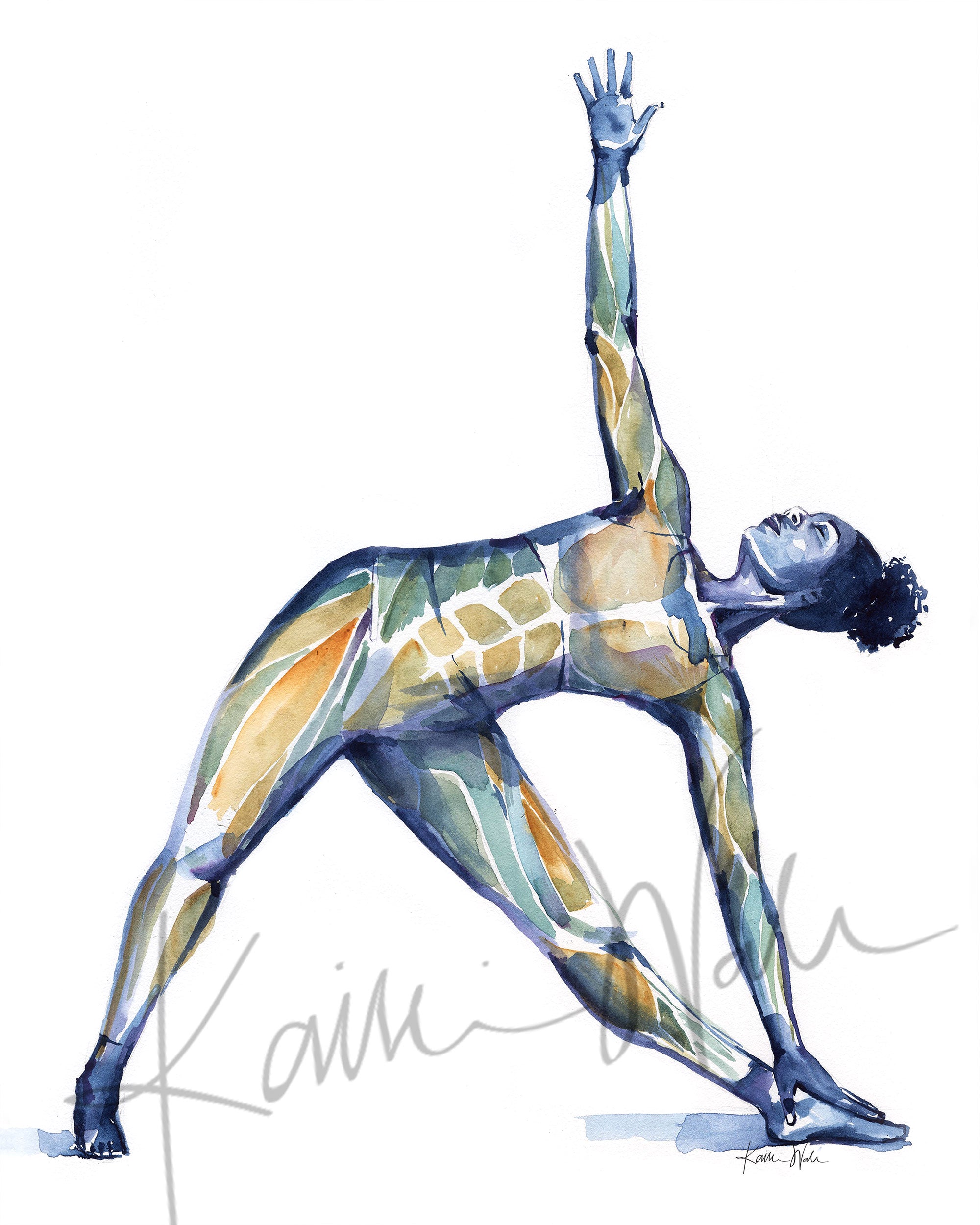 Unframed watercolor painting of a woman doing a triangle yoga pose with her muscular system showing beneath her skin.