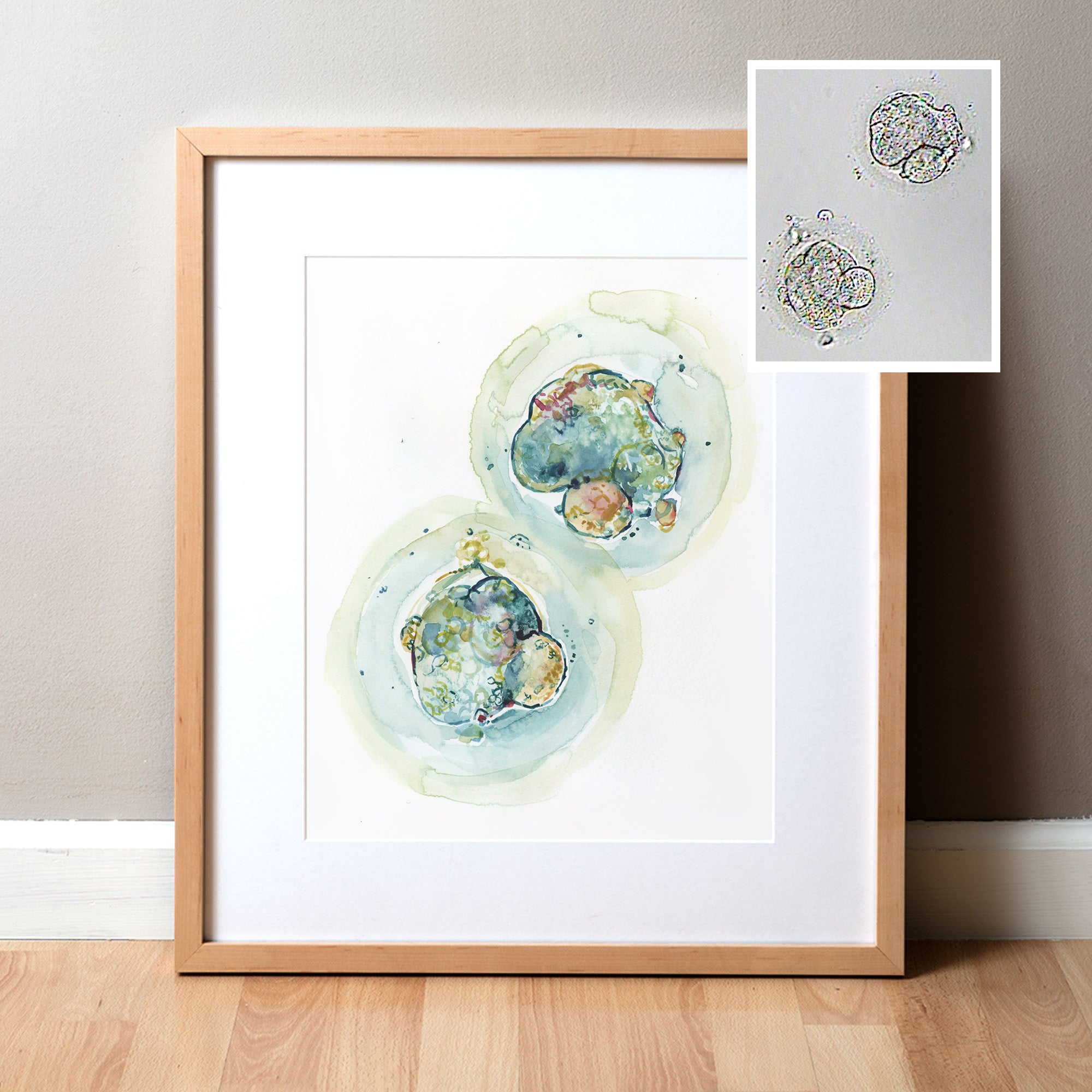 Custom Embryo Watercolor