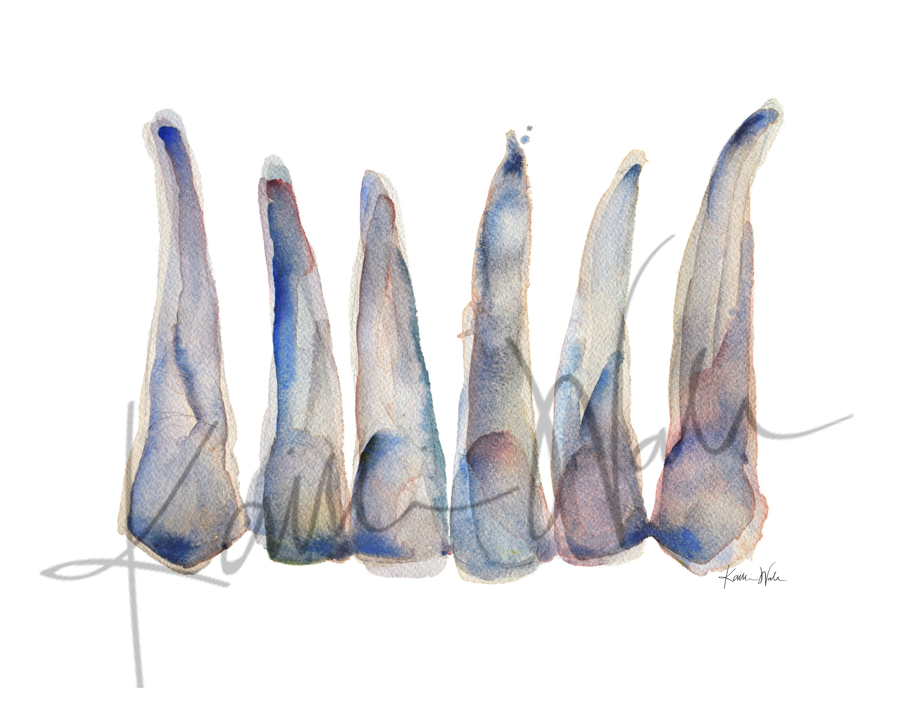 Unframed watercolor painting of maxillary incisors in blue, gray and soft, subtle reds.