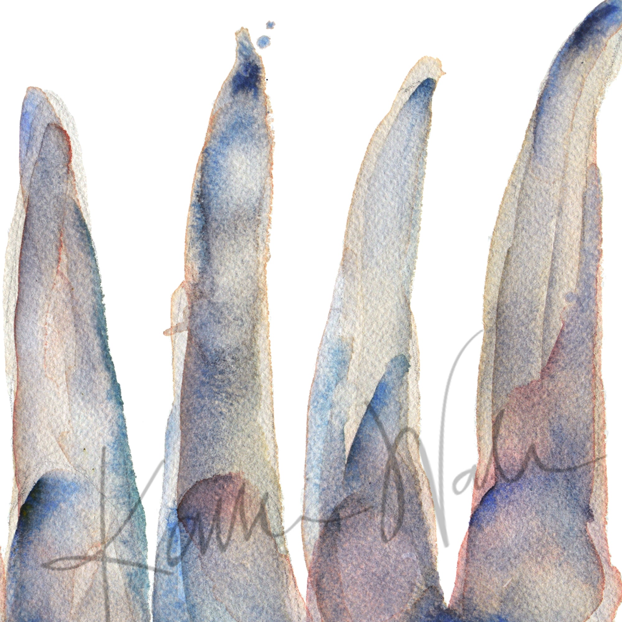 Zoomed in view of a watercolor painting of maxillary incisors in blue, gray and soft, subtle reds.