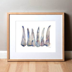 Framed watercolor painting of maxillary incisors in blue, gray and soft, subtle reds.