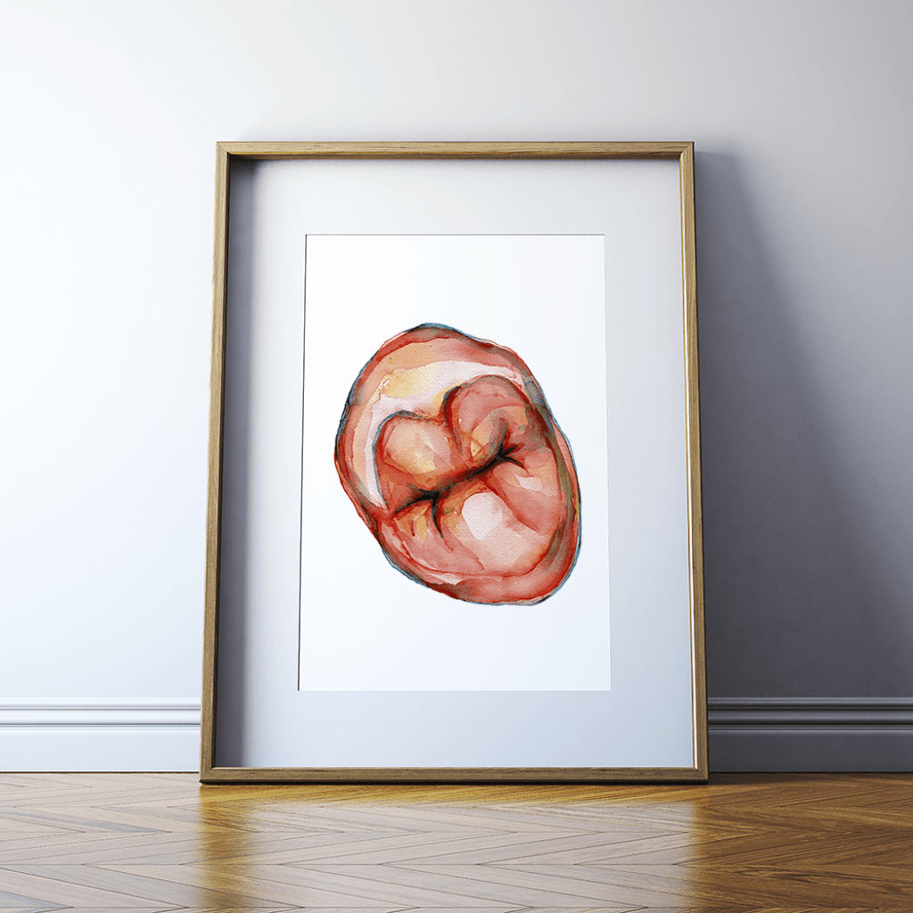 Occlusal View In Red Print Watercolor