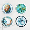 Set of 4 Lyon Road Art Anatomy Art Stickers