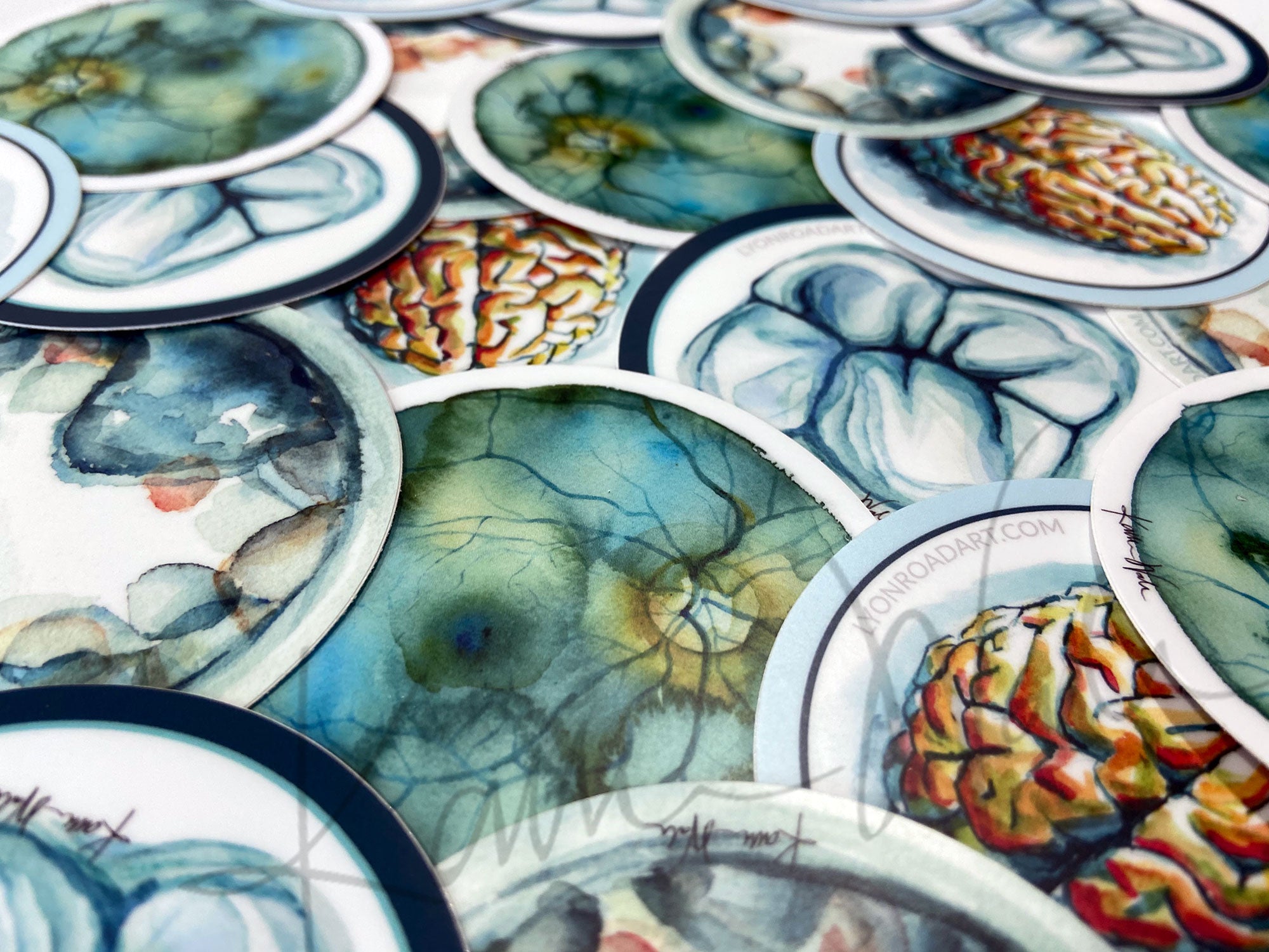 Set of 3 Embryo Watercolor Art Stickers