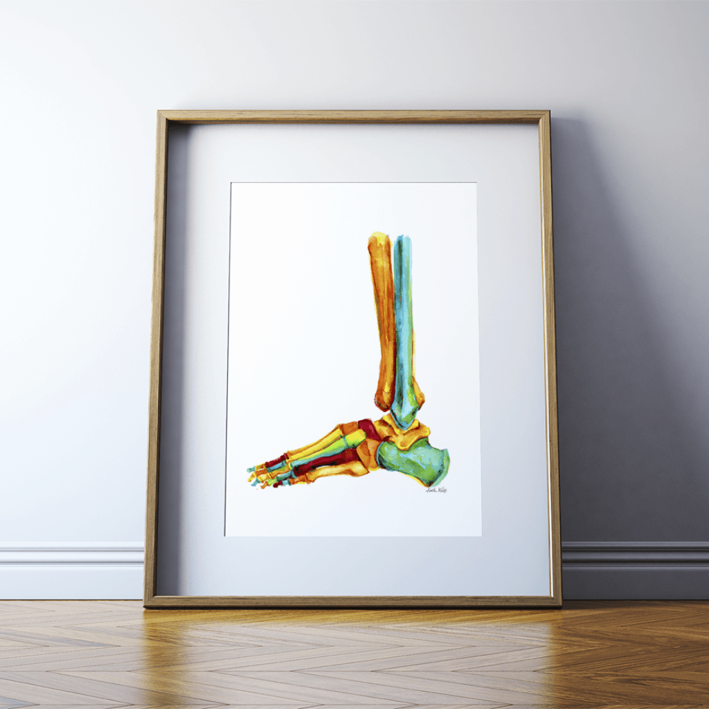Bright Bones Of The Ankle Print Watercolor