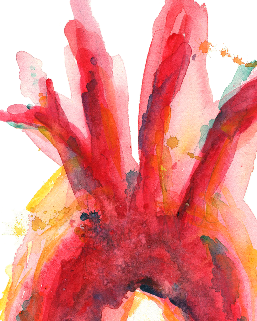 Quality Watercolor print of the Aorta in Red and yellow
