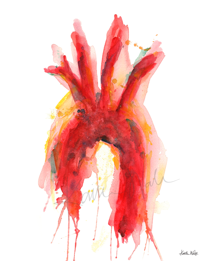 Cardiovascular Print Set Watercolor