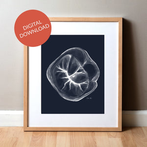 Occlusal Molar Watercolor Art Print - Digital Download