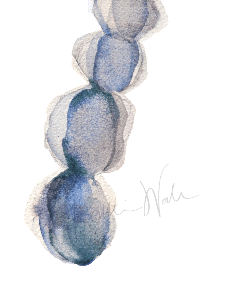 Quality Watercolor print- Professional - Gift for Dentist