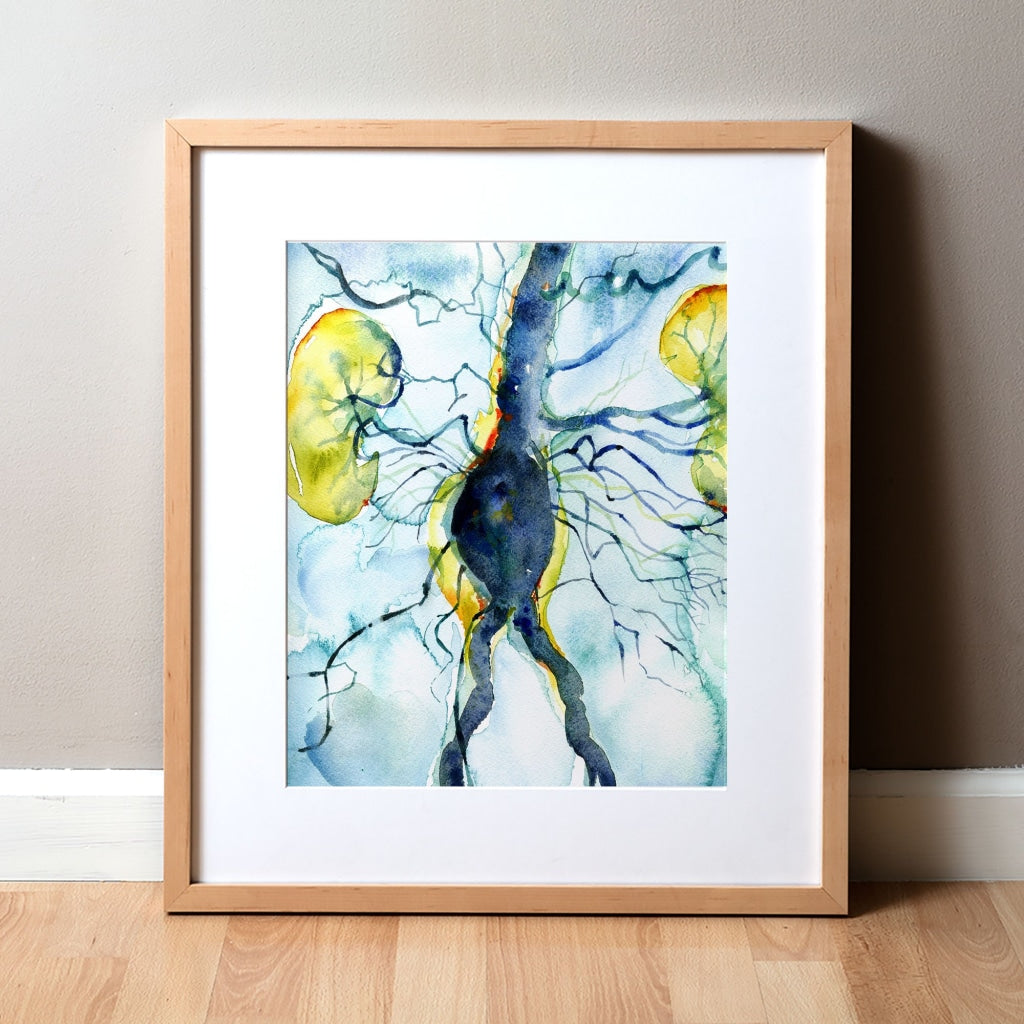 Framed Anatomical Watercolor Print of Arteriogram