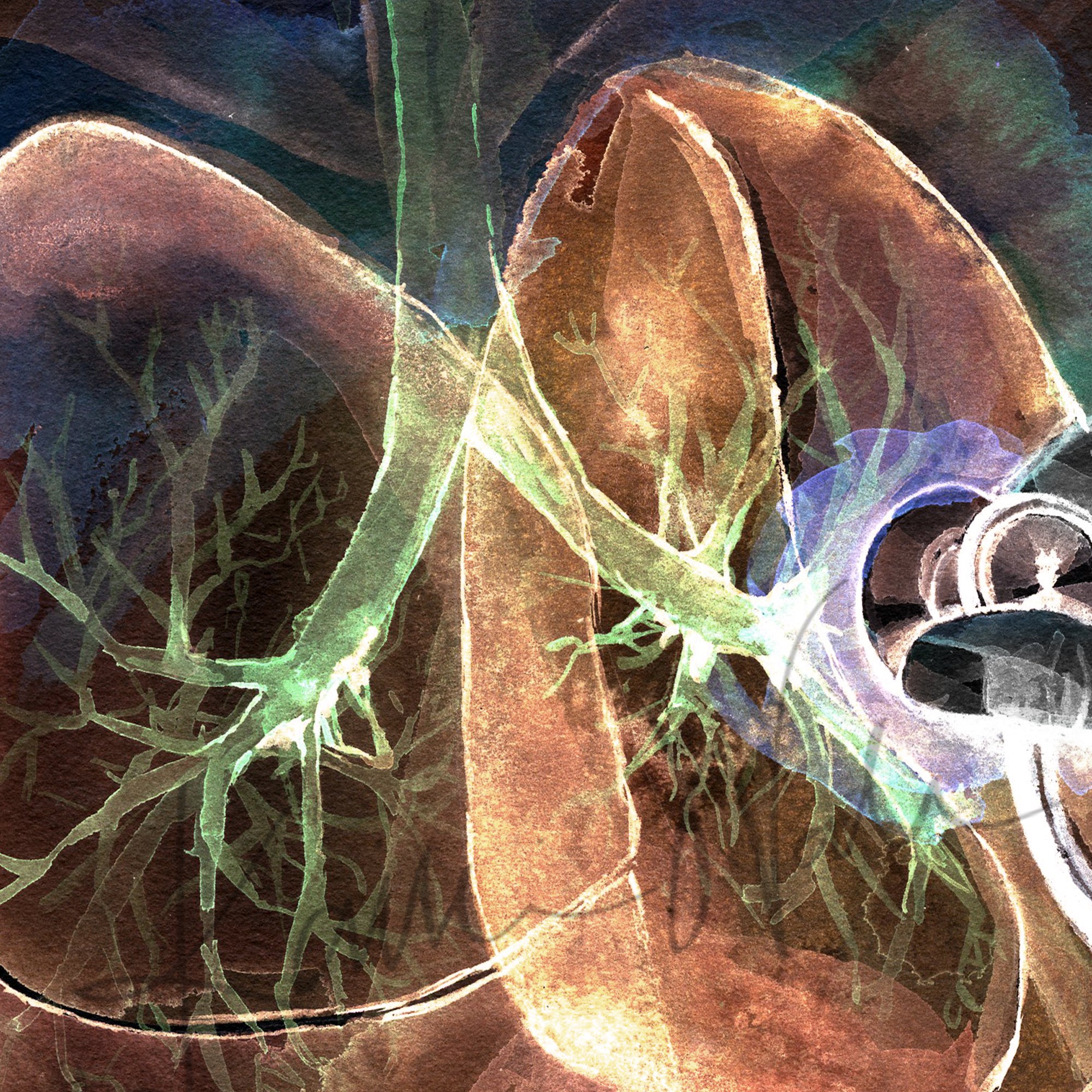 Zoomed in view of a watercolor painting of lung auscultation in orange, black, green, and purple.