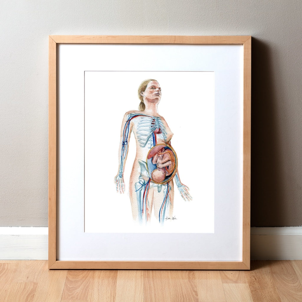 Pregnant Female Watercolor Print