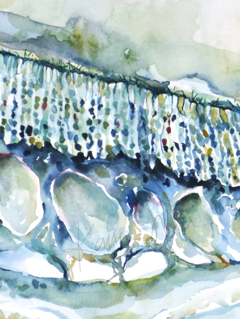 Olfactory Horizons - Five Senses Art Sense Of Smell Ent Abstract Anatomy Watercolor Print