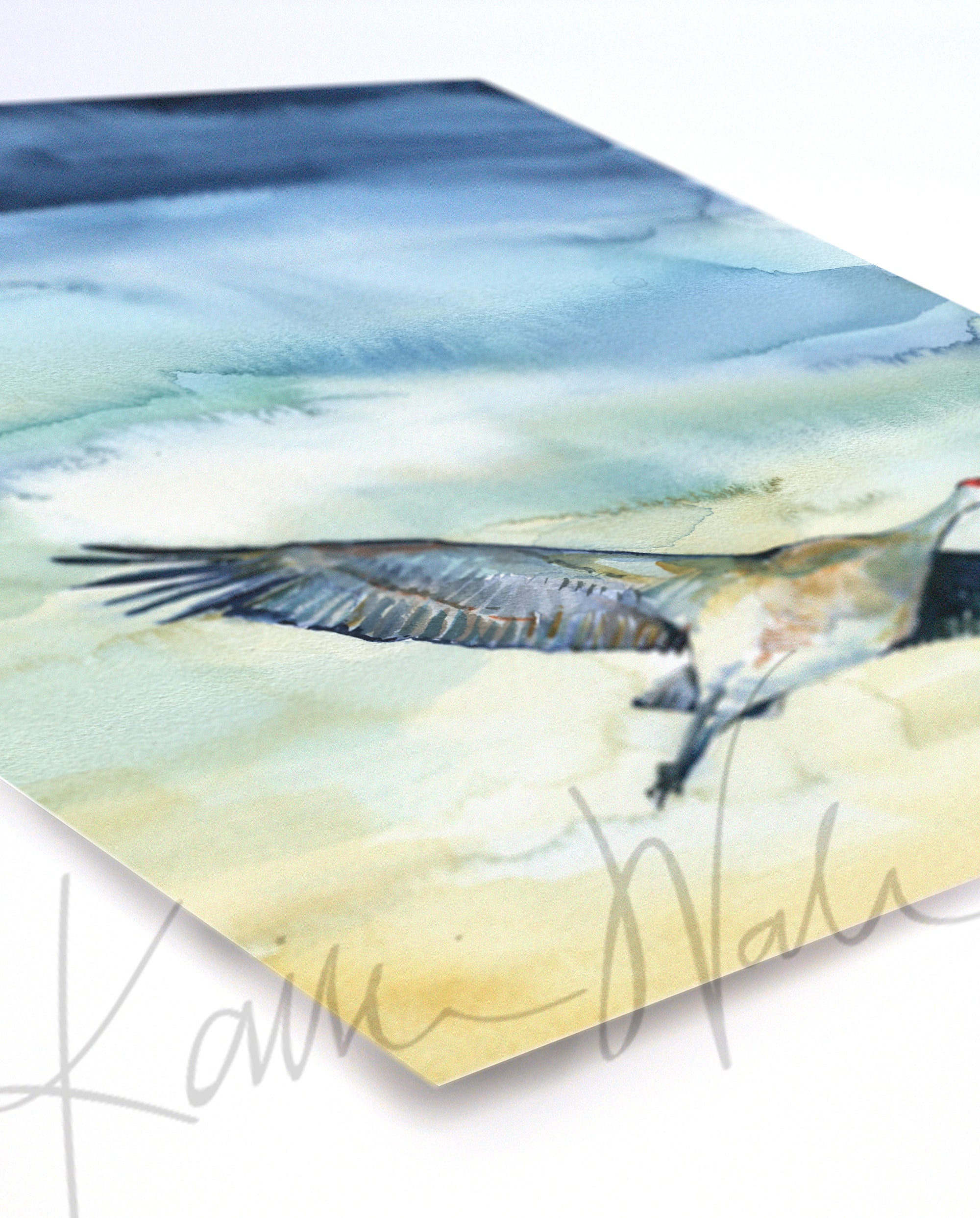 Unframed watercolor painting of a flying crane, at an angle.