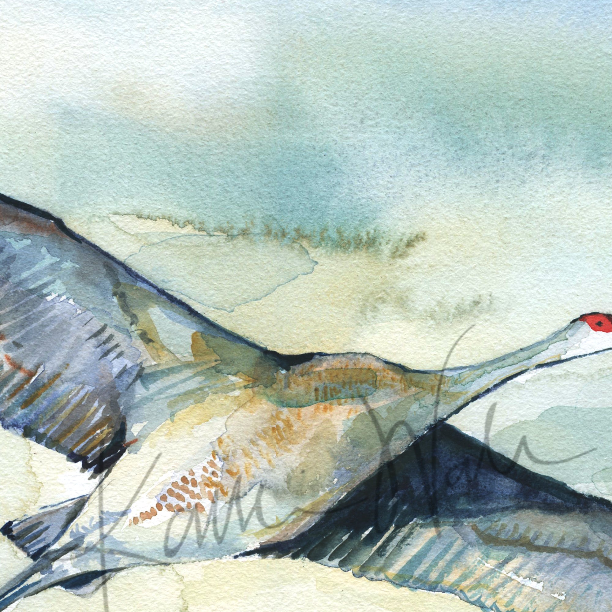 Zoomed in view of a watercolor painting set of flying cranes.