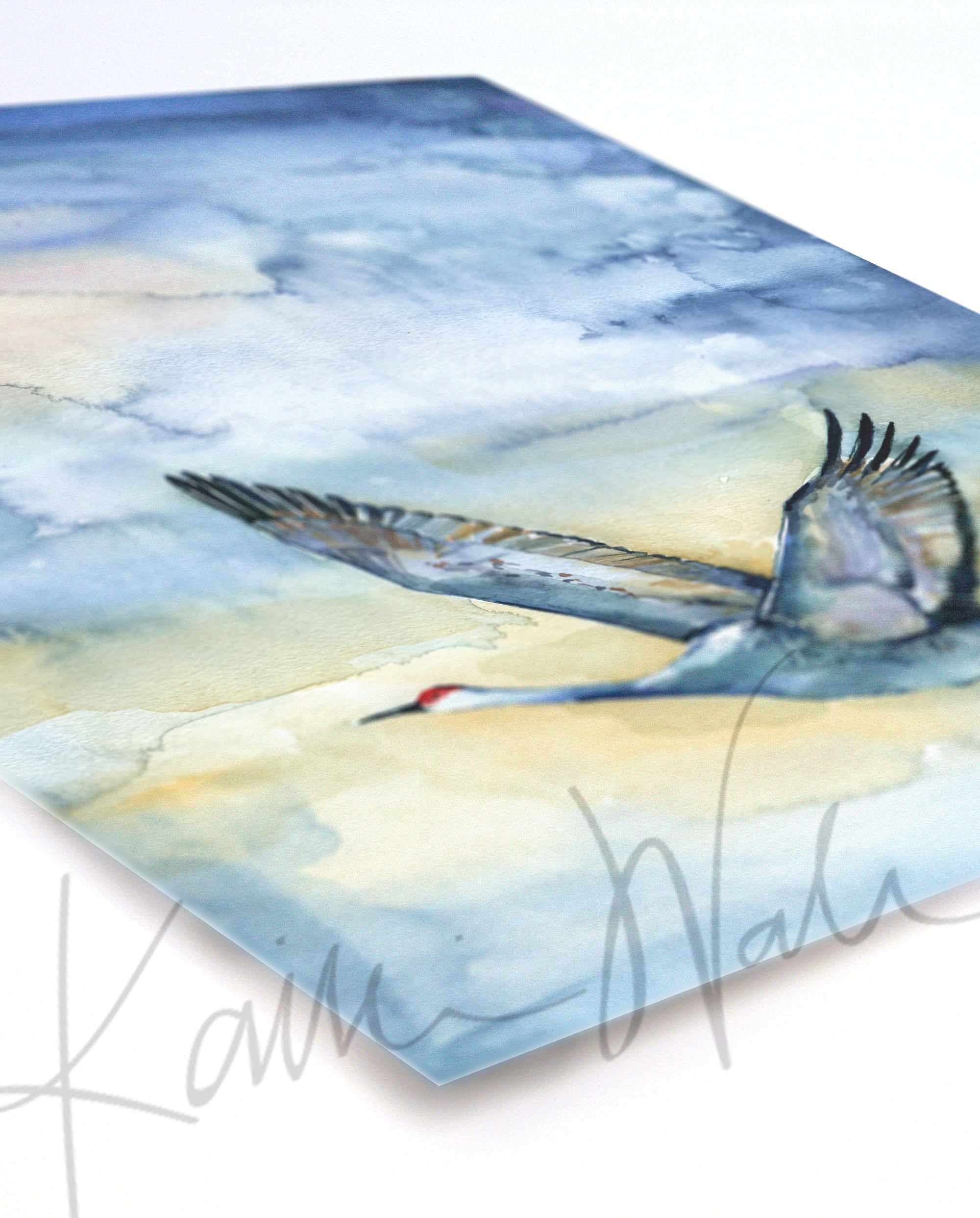Unframed watercolor painting of a flying crane, at an angle.