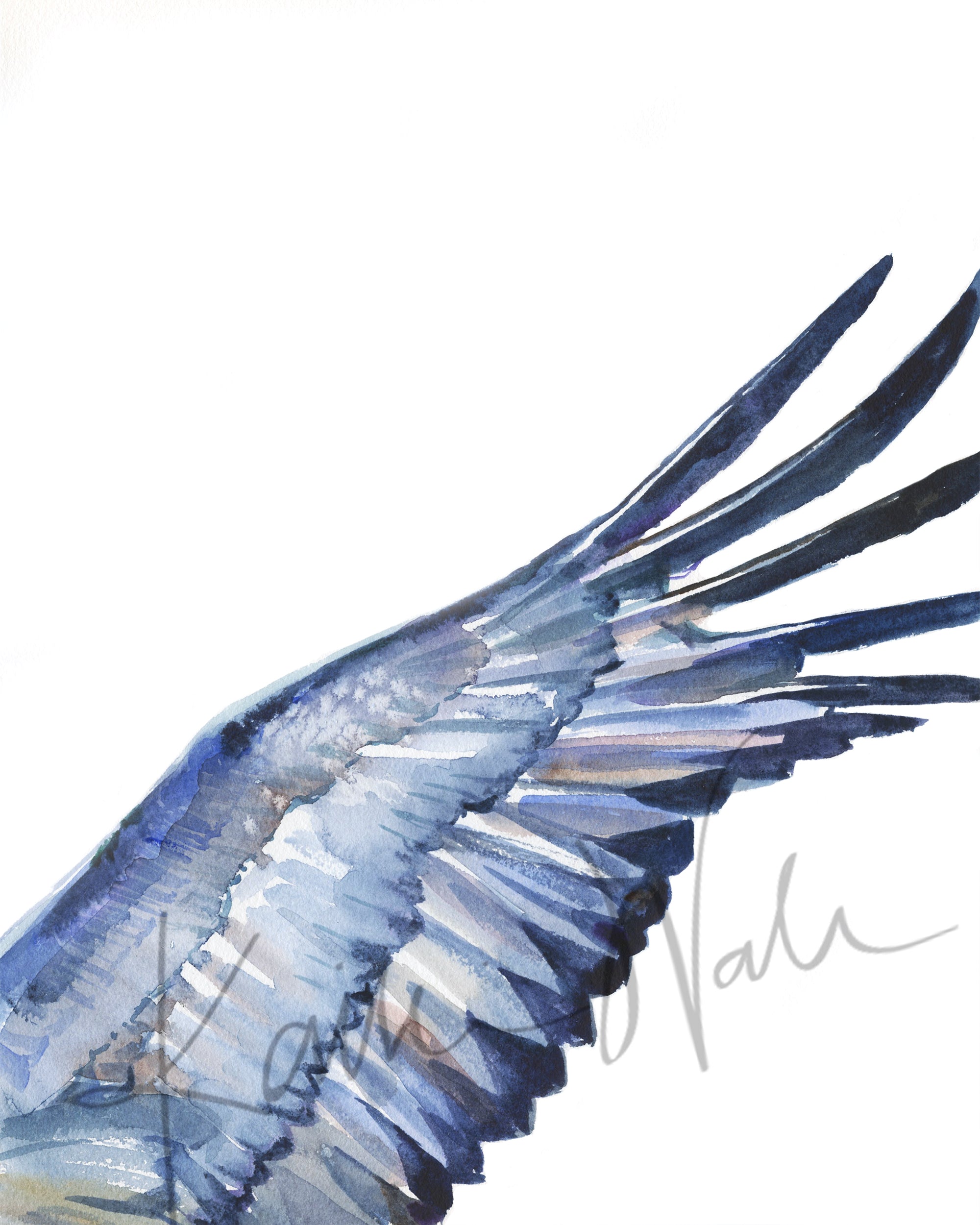 Unframed watercolor of a crane's wings with dark blue and brown feathers.