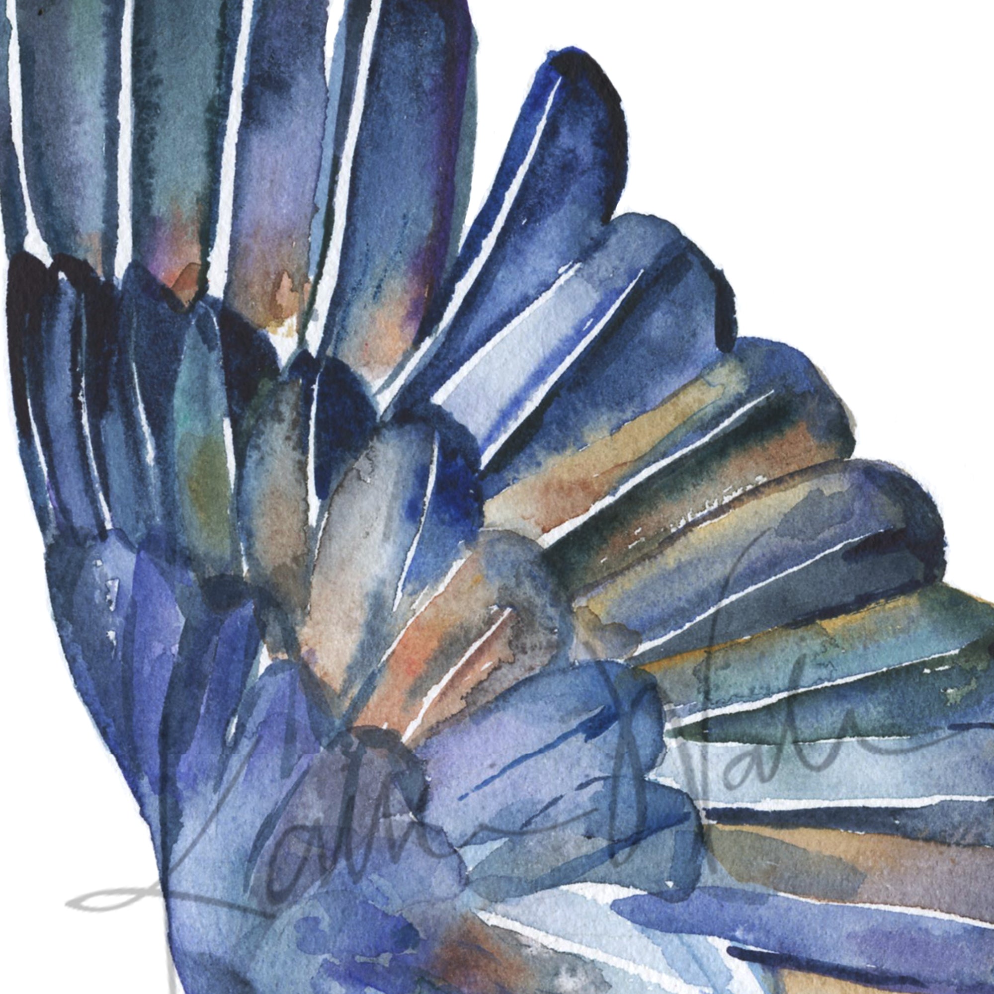 Zoomed in view of a  watercolor of a crane's wings with dark blue and brown feathers.