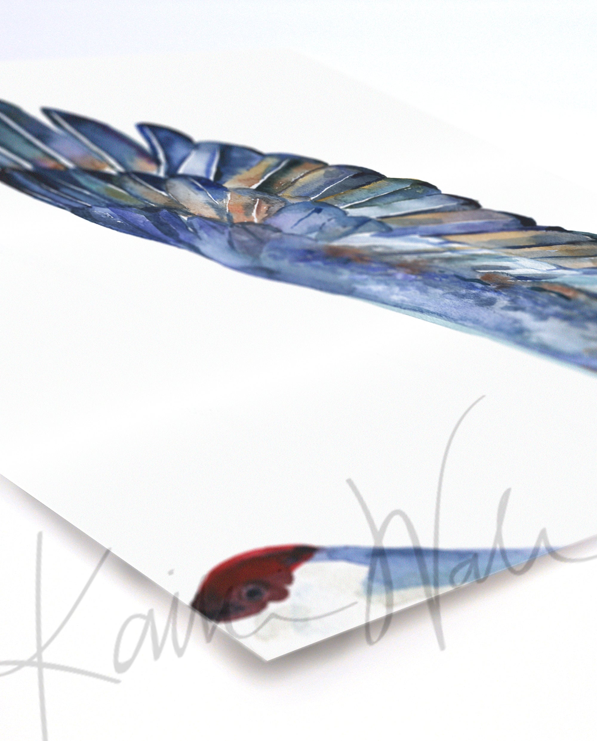 Unframed watercolor of a crane's wings with dark blue and brown feathers. The print is at an angle.