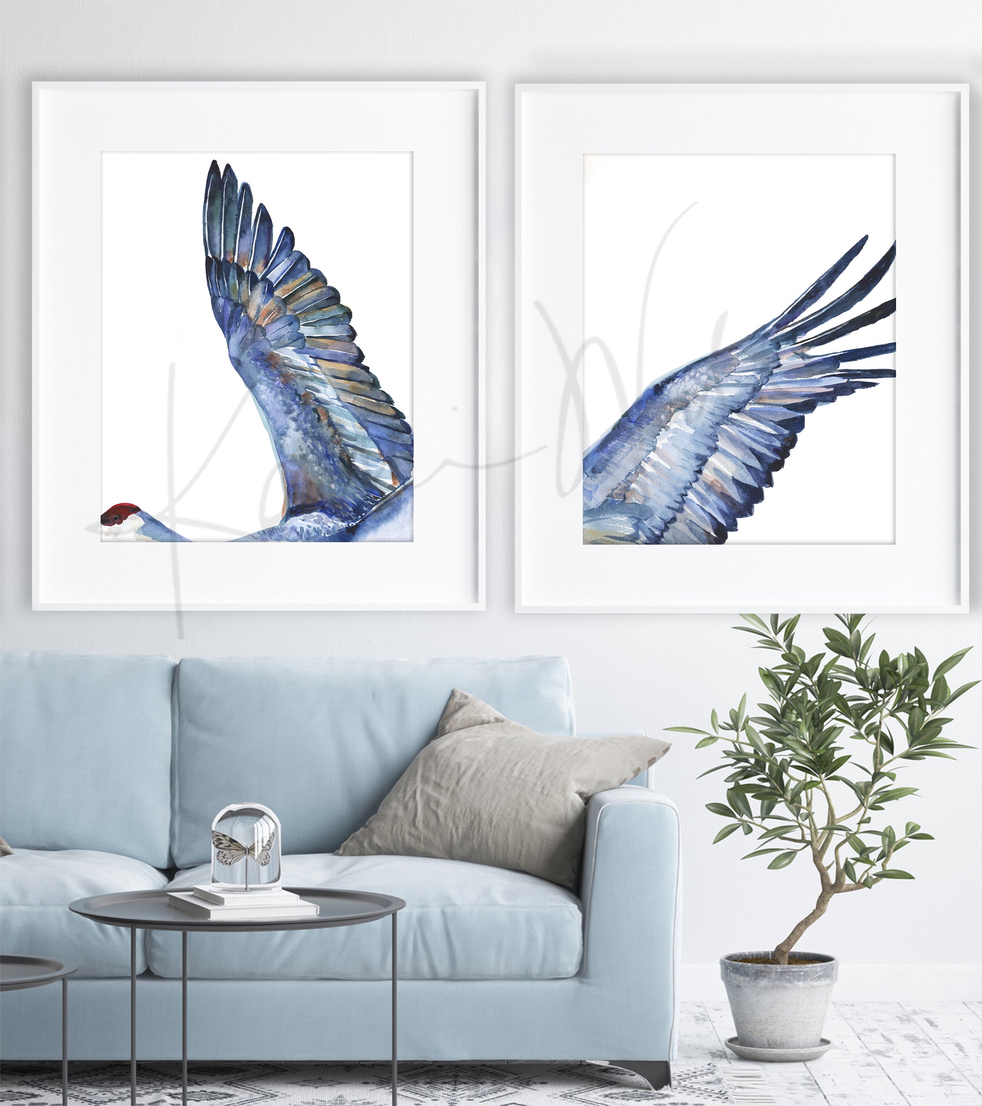  Framed watercolor diptych of a crane's wings. The paintings are hanging over a blue couch.