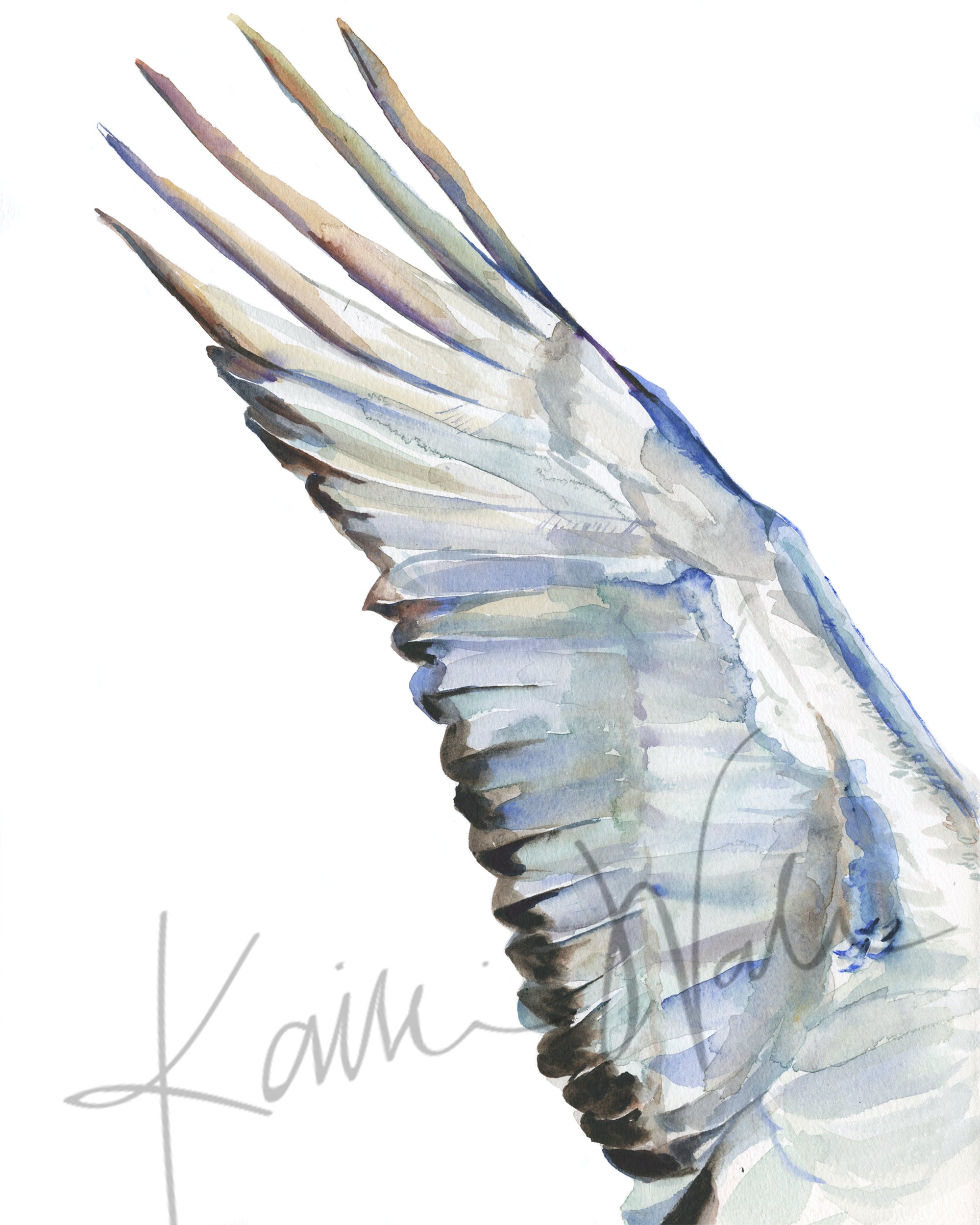 Unframed watercolor diptych of a crane's wings with white feathers.