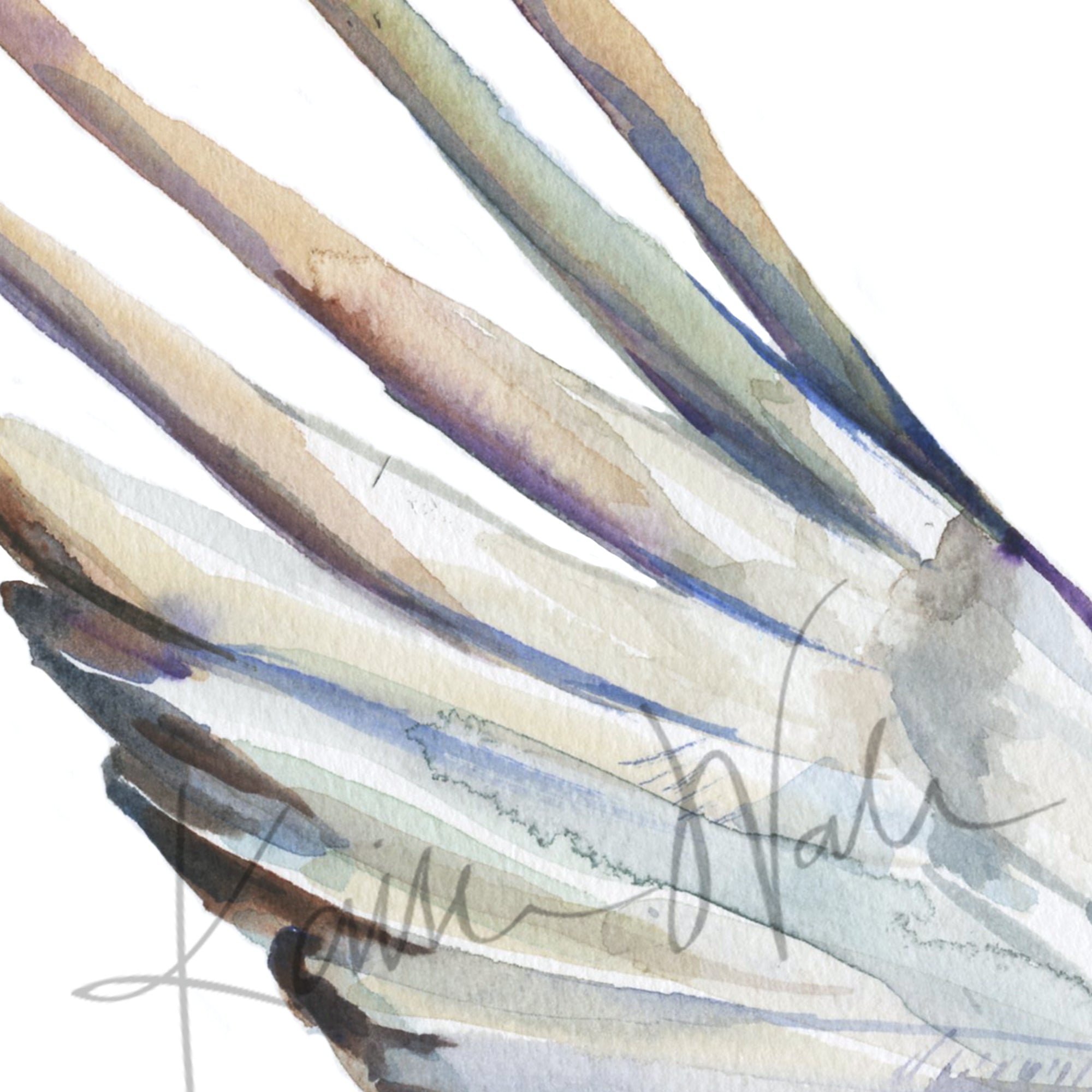 Zoomed in view of a watercolor of a crane's wings with white feathers.