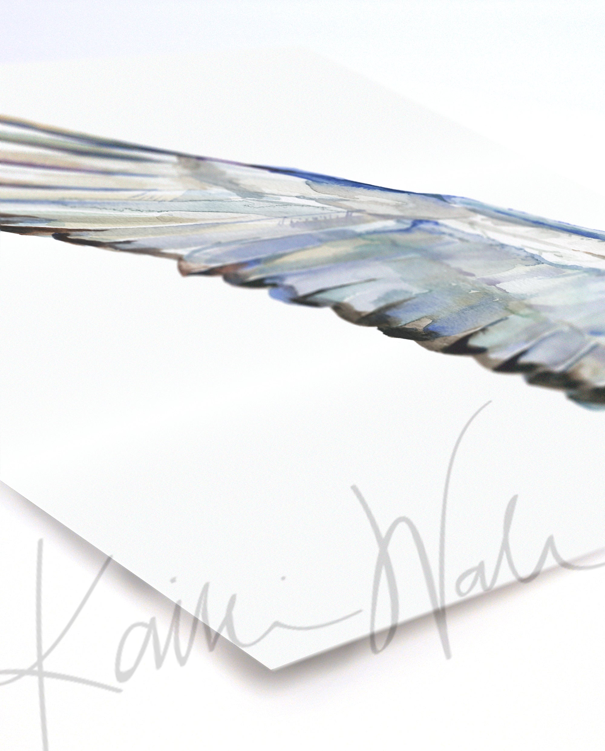 Unframed of a watercolor print of a crane's wings with white feathers, at an angle.