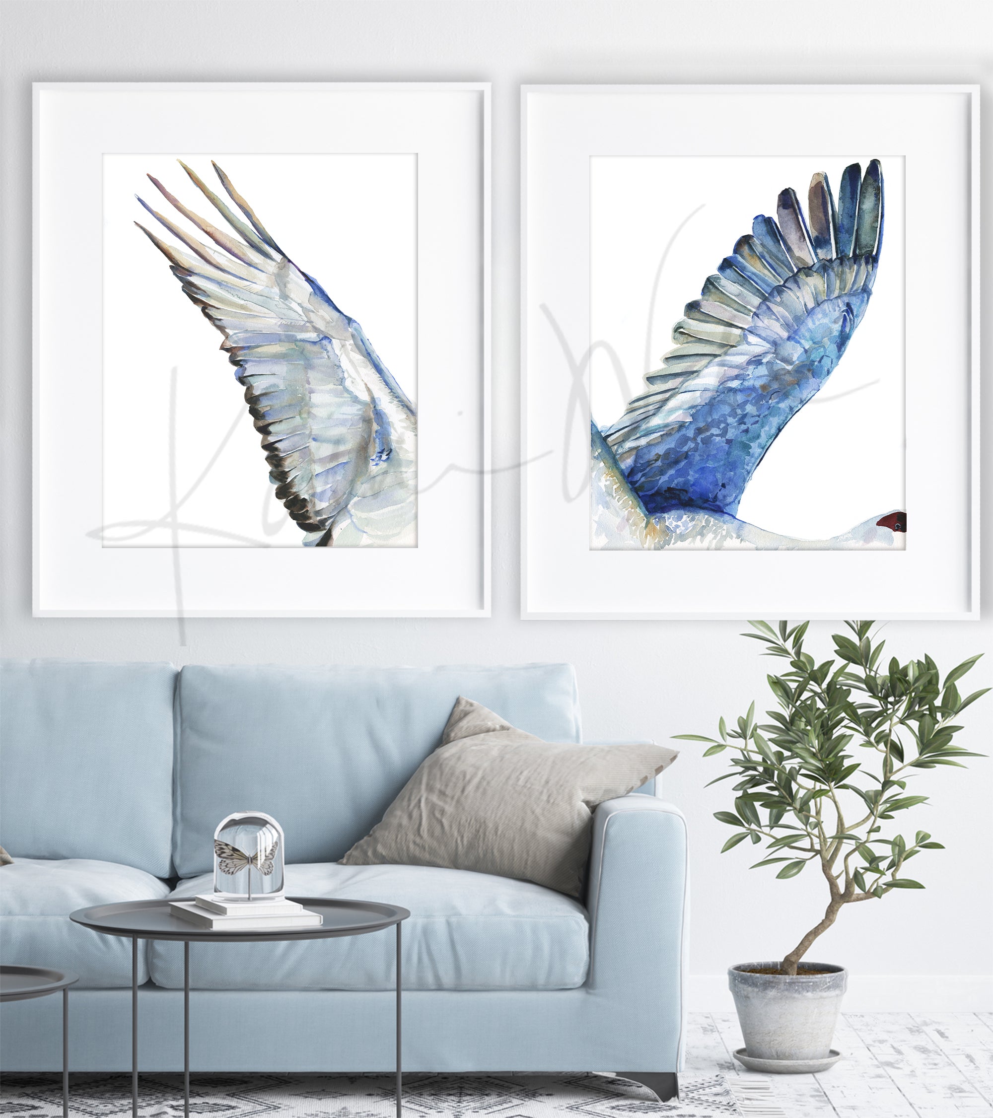 Framed watercolor diptych of a crane's wings. The paintings are hanging over a blue couch.