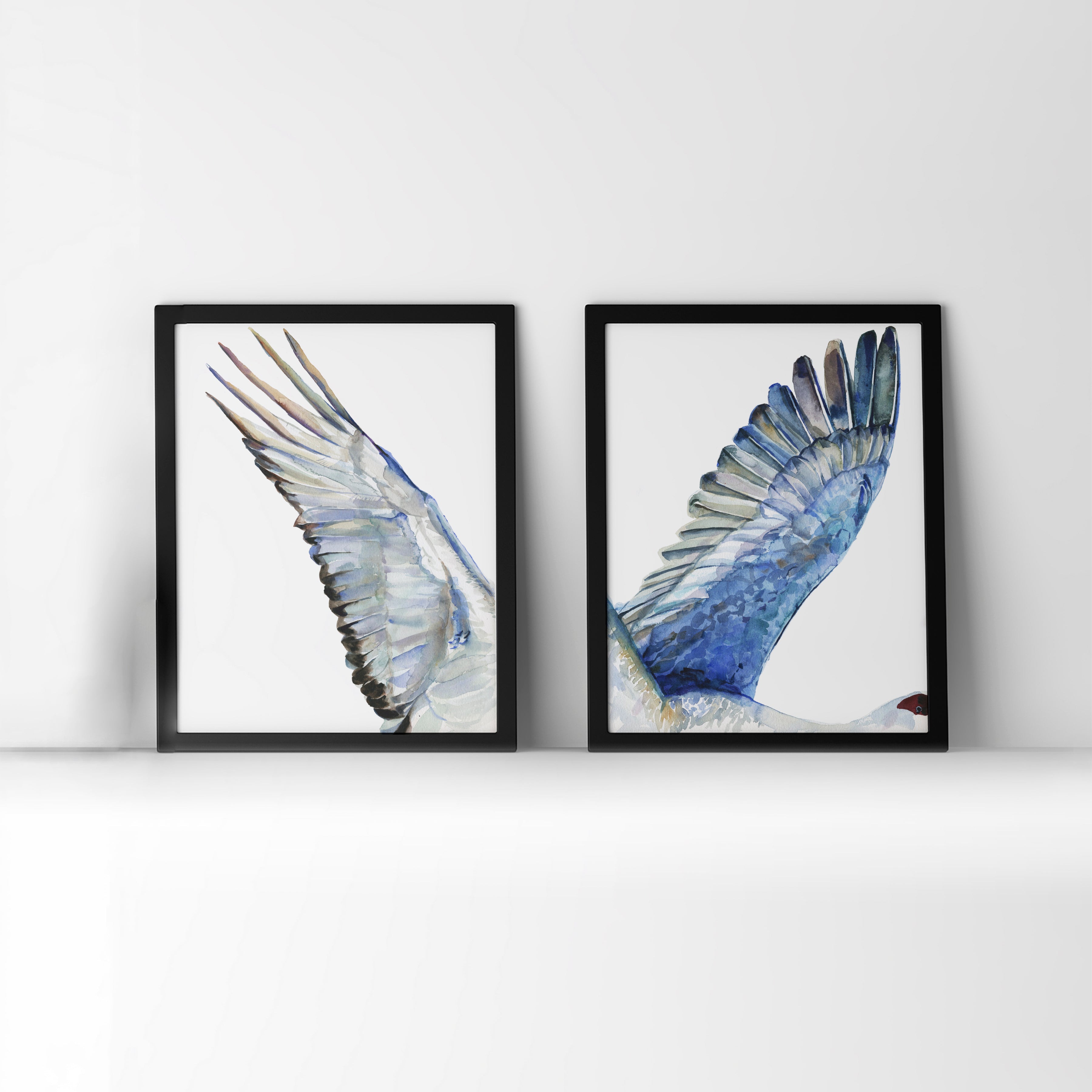 Framed watercolor diptych of a crane's wings.