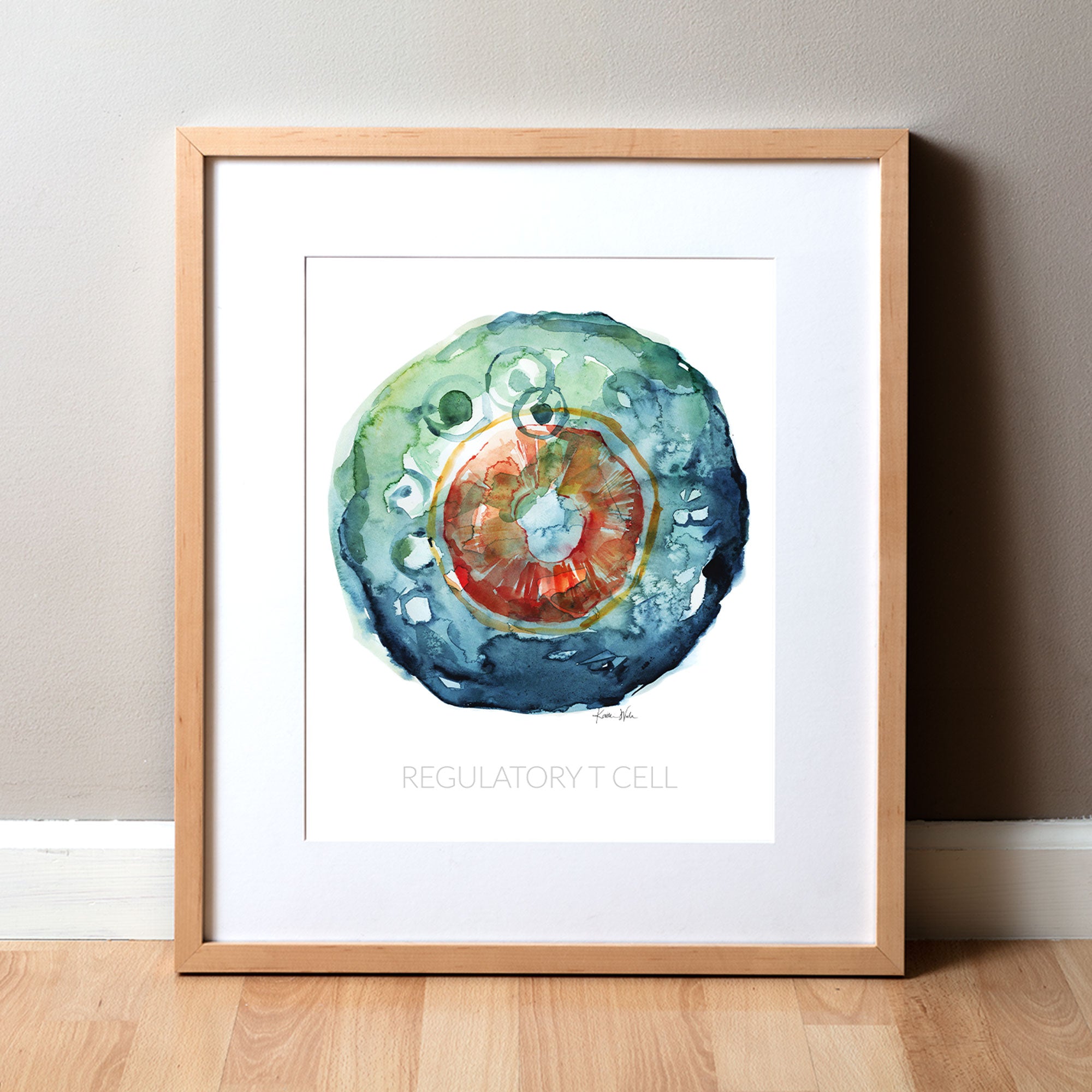 Framed watercolor painting of a regulatory T cell.