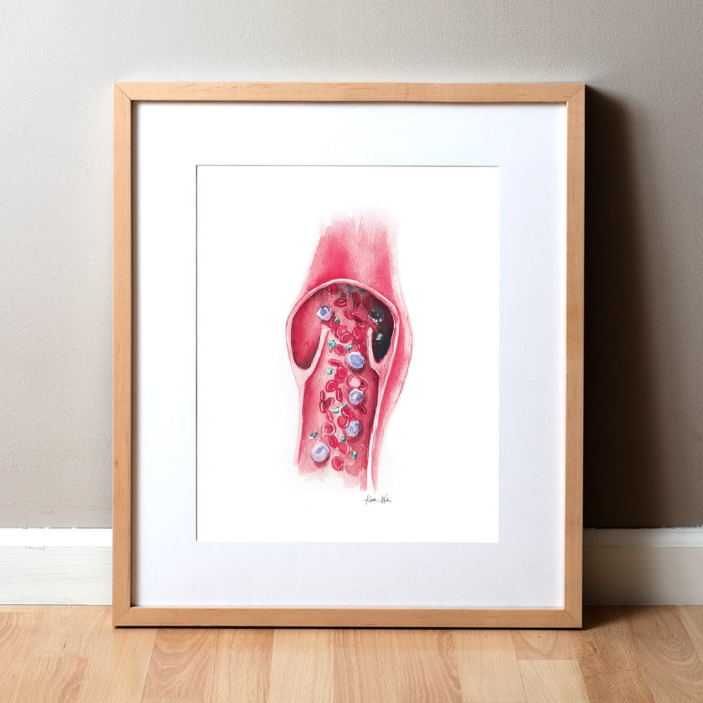 Blood Vessel Watercolor Print